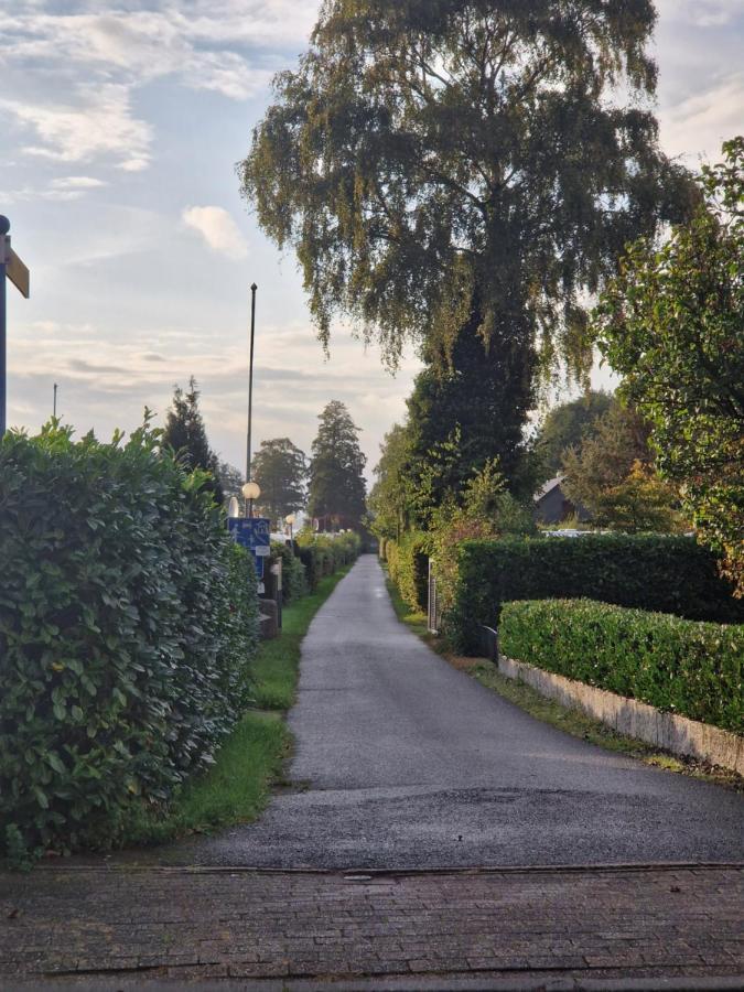 Ferienwohnungen Duemmersee - Haus Alter Pferdestall Hüde エクステリア 写真